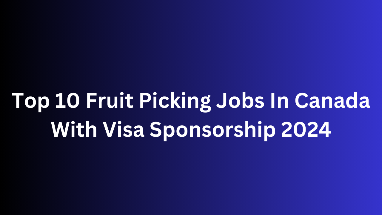 Top 10 Fruit Picking Jobs In Canada With Visa Sponsorship 2024